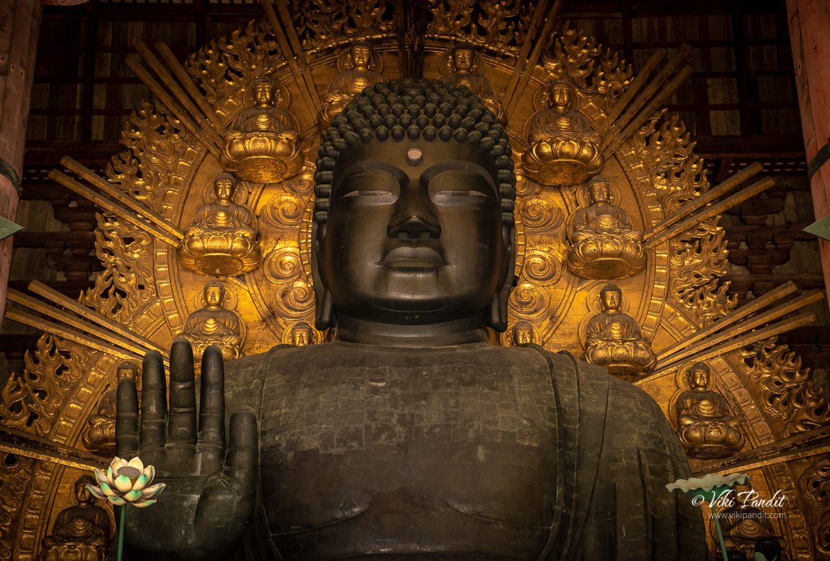 Todaiji : Home of Buddha - Viki Pandit