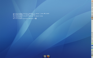 screenshot tilda ubuntu