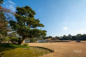 Korakuen Garden