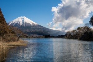 Lake Tanuki